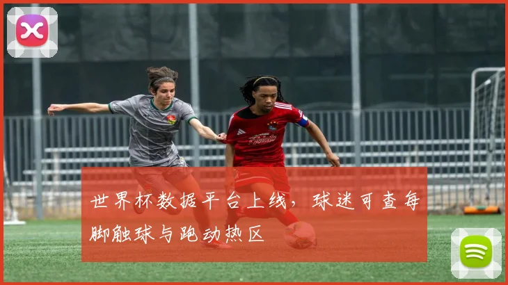 世界杯数据平台上线,球迷可查每脚触球与跑动热区