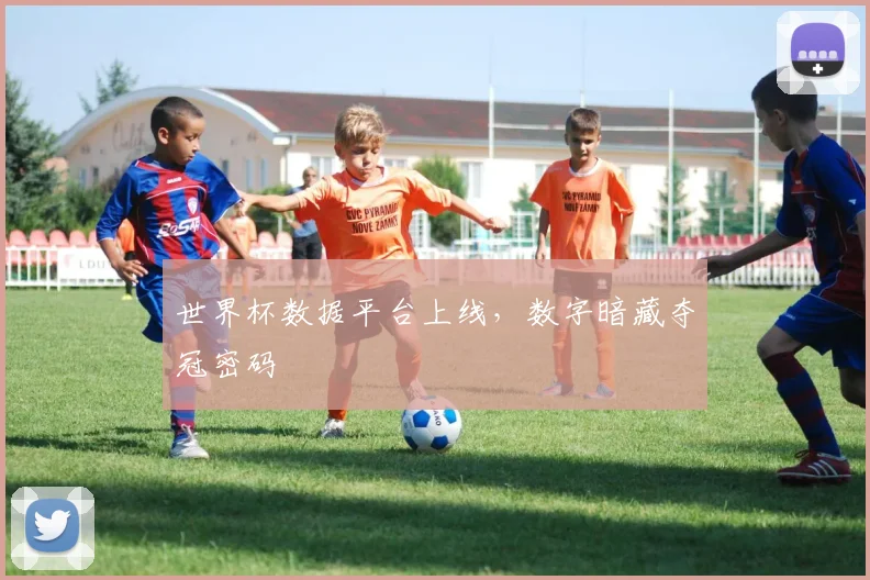 世界杯数据平台上线,数字暗藏夺冠密码