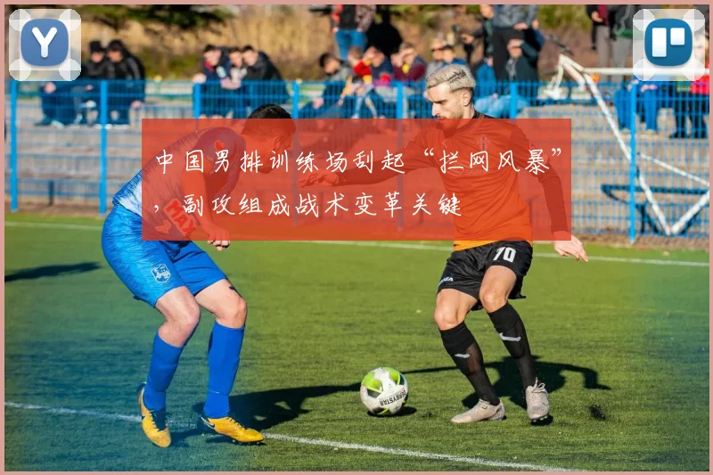 中国男排训练场刮起“拦网风暴”，副攻组成战术变革关键 - 2026世界杯