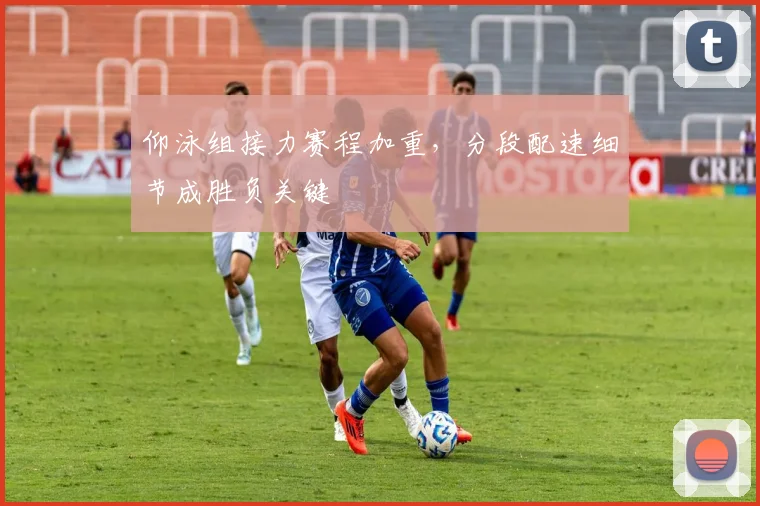 仰泳组接力赛程加重，分段配速细节成胜负关键 - 2026世界杯