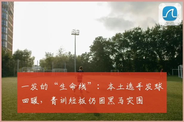 一发的“生命线”:本土选手发球回暖,青训短板仍困黑马突围