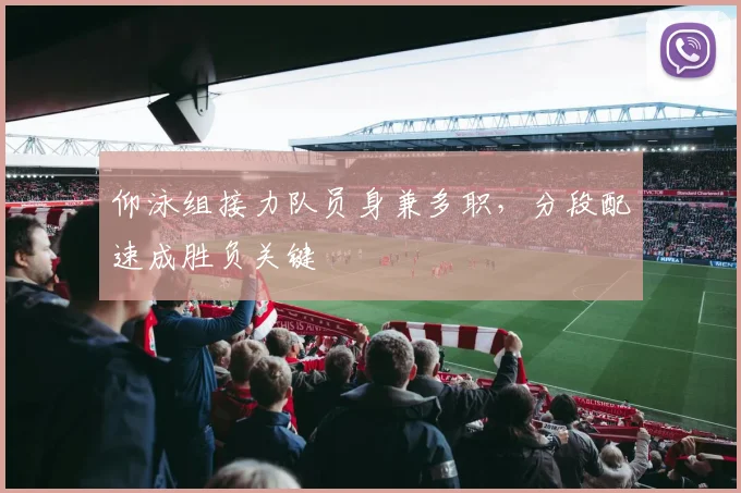 仰泳组接力队员身兼多职，分段配速成胜负关键 - 2026世界杯